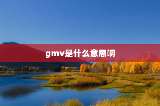 gmv是什么意思啊 gmv是什么意思中文？