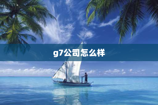 g7公司怎么样 什么是G7集团？