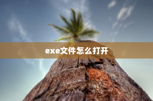 exe文件怎么打开 iphone怎么打开exe文件？