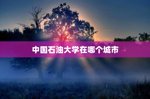 中国石油大学在哪个城市 中国石油大学（北京）在北京高校中处于什么地位？