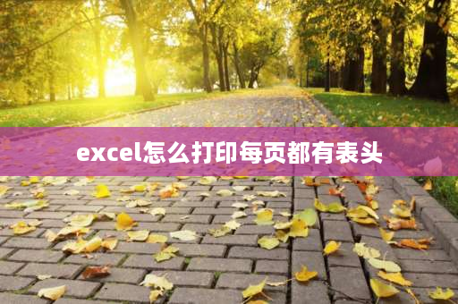 excel怎么打印每页都有表头 多张表格怎么显示同一个表头？