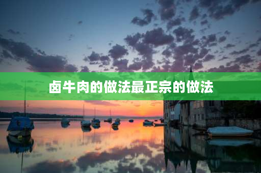 卤牛肉的做法最正宗的做法 卤牛肉最正宗的用料最少的做法？