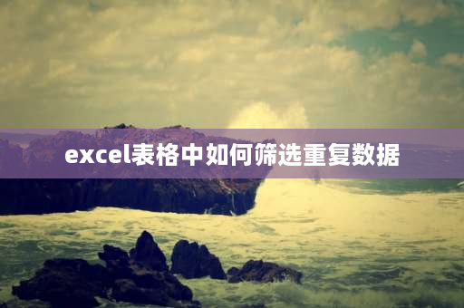 excel表格中如何筛选重复数据 wps里怎么筛选两个表格里相同的数据？