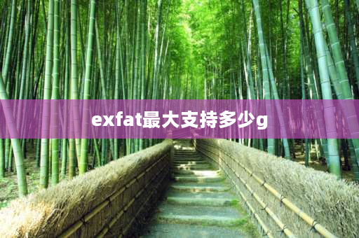 exfat最大支持多少g exfat格式的u盘容量？