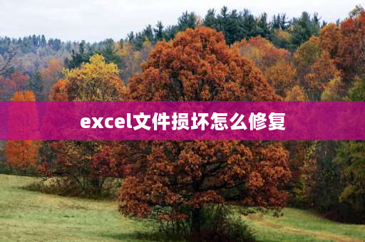 excel文件损坏怎么修复 excel表格总是显示修复怎么办？