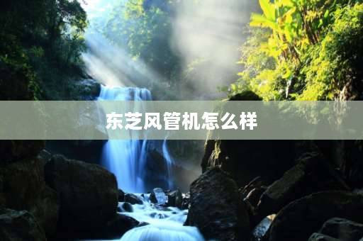 东芝风管机怎么样 东芝一拖一风管机匹数及对应型号？