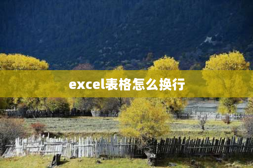 excel表格怎么换行 excel表格内如何换行？