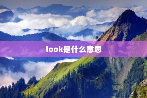 look是什么意思 look的汉语意思是什么？