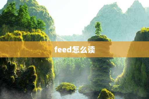 feed怎么读 元音字母e有哪些发音？