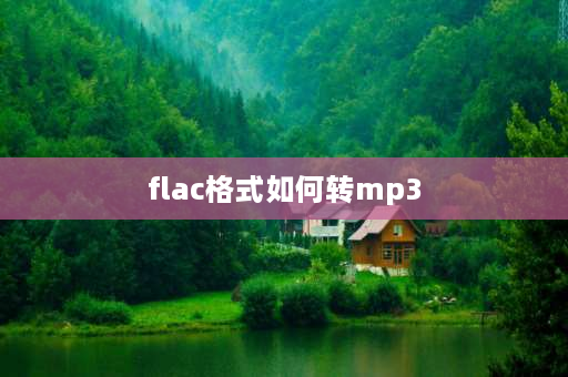 flac格式如何转mp3 无损音频FLAC格式音乐怎么转换成MP3格式？