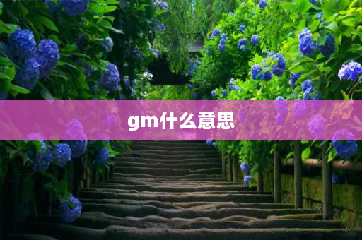 gm什么意思 GM是什么意思啊？