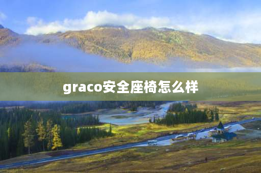 graco安全座椅怎么样 宝宝哪个品牌安全座椅好？