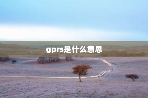 gprs是什么意思 gprs套餐外流量是什么意思啊？