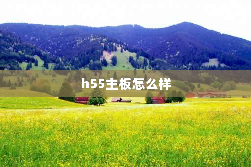 h55主板怎么样 h55固态主板怎么样？