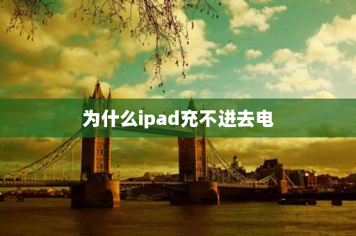 为什么ipad充不进去电 苹果ipad充不了电怎么解决？