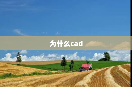 为什么cad 为什么cad直线会出现曲折？