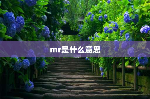 mr是什么意思 Mr什么意思？