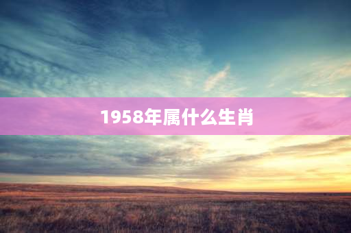 1958年属什么生肖 1958年干支？