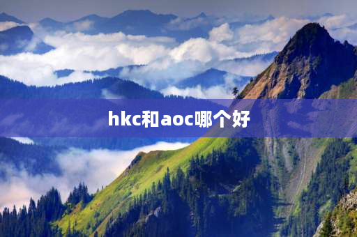 hkc和aoc哪个好 AOC和HKC哪个显示器好？