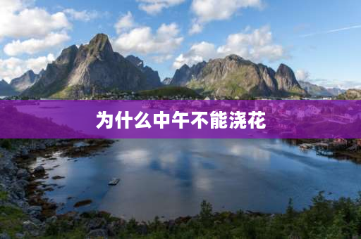 为什么中午不能浇花 为什么在中午(烈日)的时候，不要给植物浇水？什么原因？