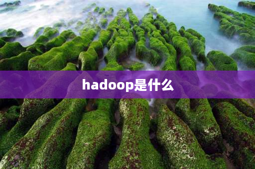 hadoop是什么 Hive是什么意思？