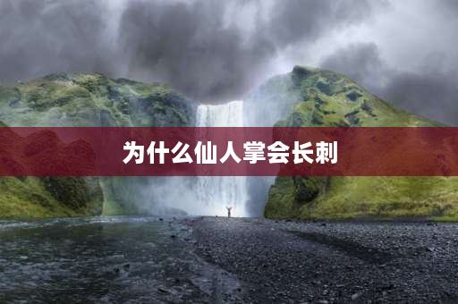 为什么仙人掌会长刺 仙人掌的叶子为什么长大有像针一样的刺呢？