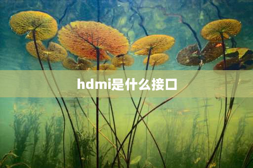 hdmi是什么接口 hdmi接口是哪个？