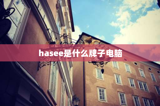 hasee是什么牌子电脑 世界公认十大电脑品牌？