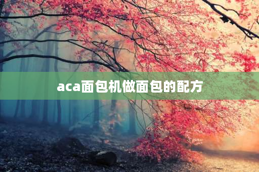 aca面包机做面包的配方 aca面包机做面包一般用多长时间？