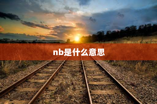 nb是什么意思 NB表示什么含义？