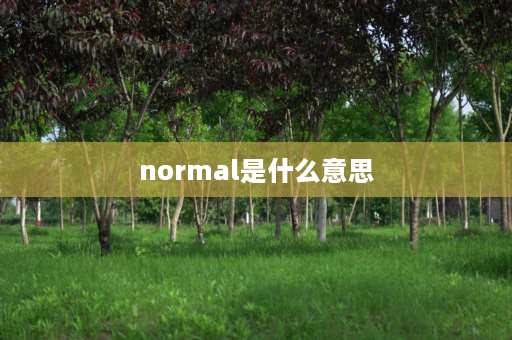 normal是什么意思 normal名词形式？