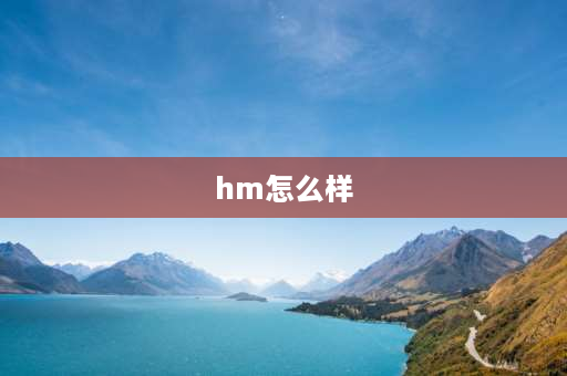 hm怎么样 HM这个牌子怎么样？