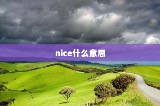 nice什么意思 Nice是什么？