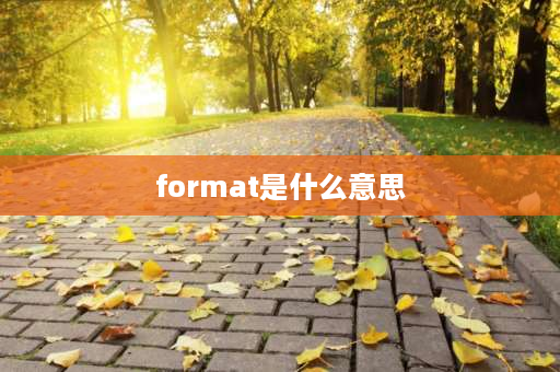 format是什么意思 TEXT这个函数“”是什么意思？