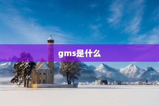 gms是什么 GMS是什么意思？