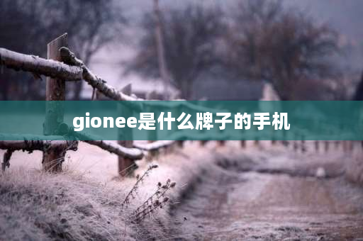 gionee是什么牌子的手机 gionee是什么手机？