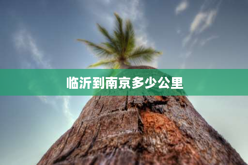 临沂到南京多少公里 南京和临沂属于几线城市？