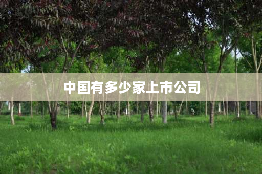 中国有多少家上市公司 上交所到2023年11月份共有多少家上市公司？