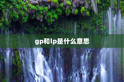 gp和lp是什么意思 LP与GP是什么意思？