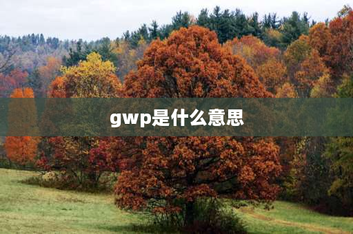 gwp是什么意思 gwp8027和gwp8027a有什么不同？