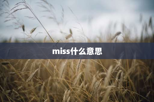 miss什么意思 Miss啥意思？