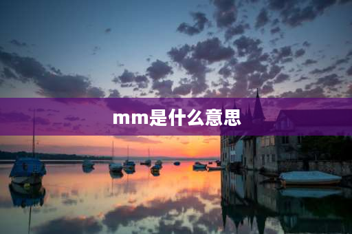 mm是什么意思 mm是什么意思？