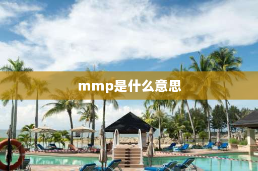 mmp是什么意思 mmp是什么意思？