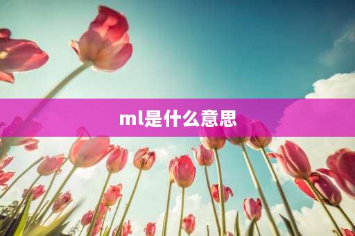 ml是什么意思 ml是什么意思单位名称？