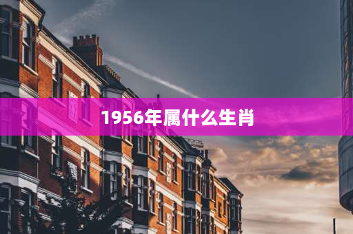 1956年属什么生肖 1956年出生的人经历了什么？