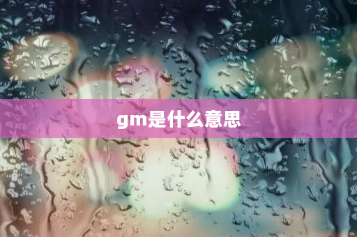 gm是什么意思 gm 什么意思中文？