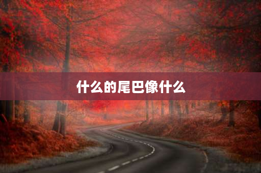 什么的尾巴像什么 什么的尾巴像什么比喻句？