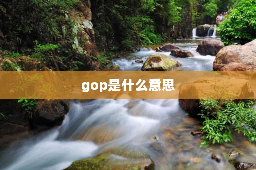 gop是什么意思 GOP是指什么？