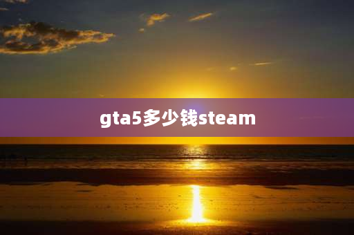 gta5多少钱steam steam账号共享授权了游戏，为什么还要购买？