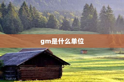 gm是什么单位 gm换算单位是多少n？